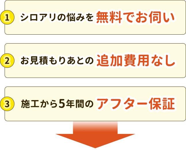 シロアリの女王は寿命が長い 繁殖力がすごいのはなぜ 知られざる生態を解説 みんなのシロアリ駆除屋さん