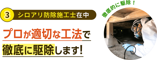 プロがシロアリを徹底的に駆除 調査 みんなのシロアリ駆除屋さん