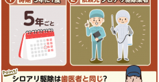 シロアリの対策は何年おき？どこに頼む？気になる質問にまるごと回答！