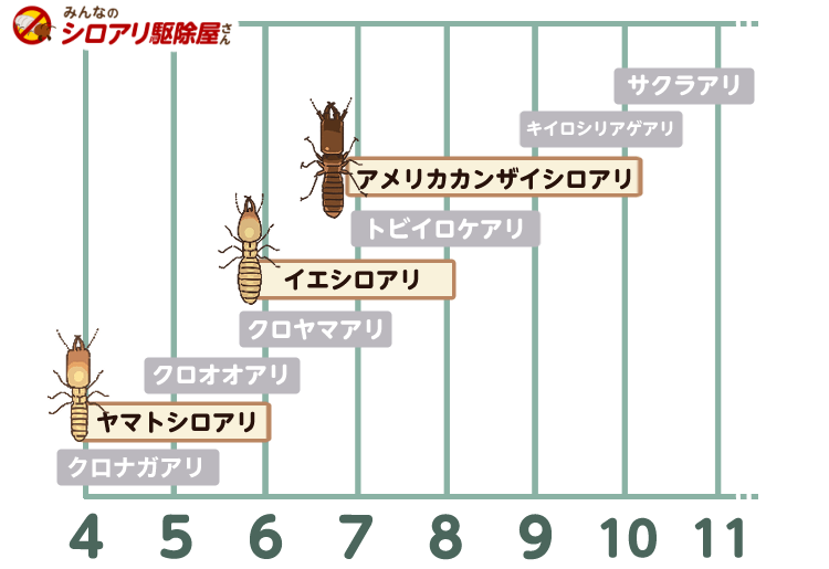 羽アリの飛翔時期