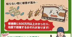 「シロアリ消毒は本当に必要ですか？」 私が家族・親戚にもシロアリ消毒を勧める理由