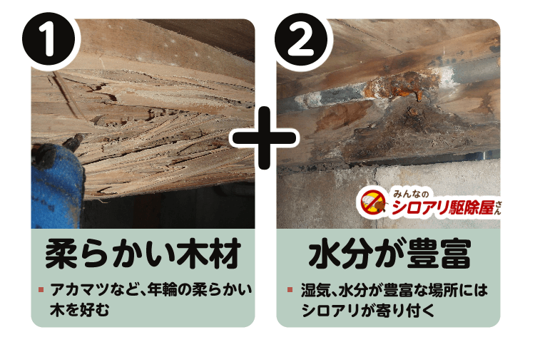 シロアリ発生の原因は柔らかい木材と水分