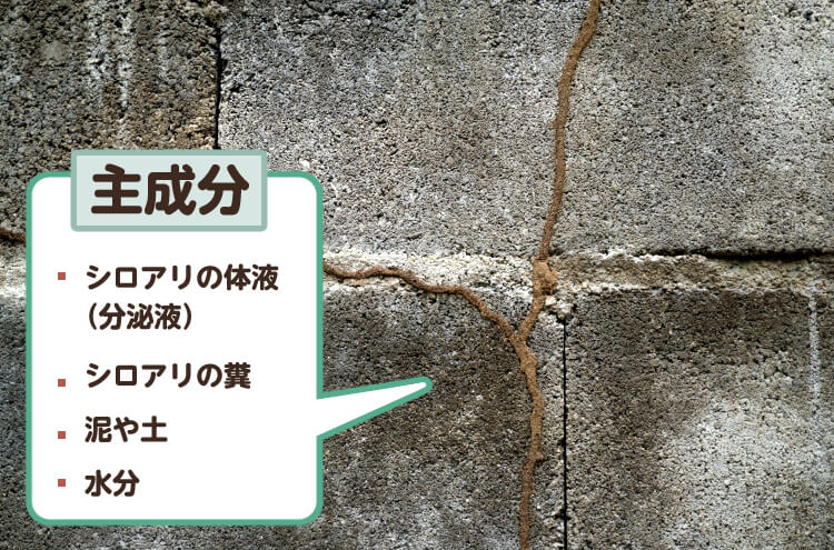 シロアリ被害写真館 シロアリ駆除 防除 アイジーコンサルティング メンテナンス事業部 個人向けサービス