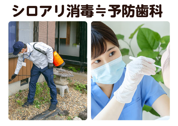シロアリ消毒は本当に必要ですか 私が家族 親戚にもシロアリ消毒を勧める理由 みんなのシロアリ駆除屋さん